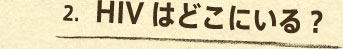 2.HIV�͂ǂ��ɂ���H