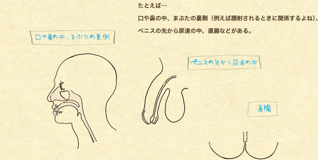 ���Ƃ��΁c����@�̒��A�܂Ԃ��̗����i�Ⴆ�Ί�˂����Ƃ��Ɋ֌W�����ˁj�A�y�j�X�̐悩��A���̒��A�����Ȃǂ�����B