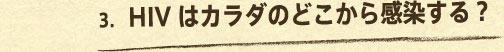 3.HIV�̓J���_�̂ǂ����犴������H