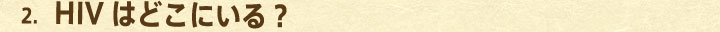 2.HIV�͂ǂ��ɂ���H