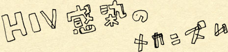 HIV�����̃��J�j�Y��